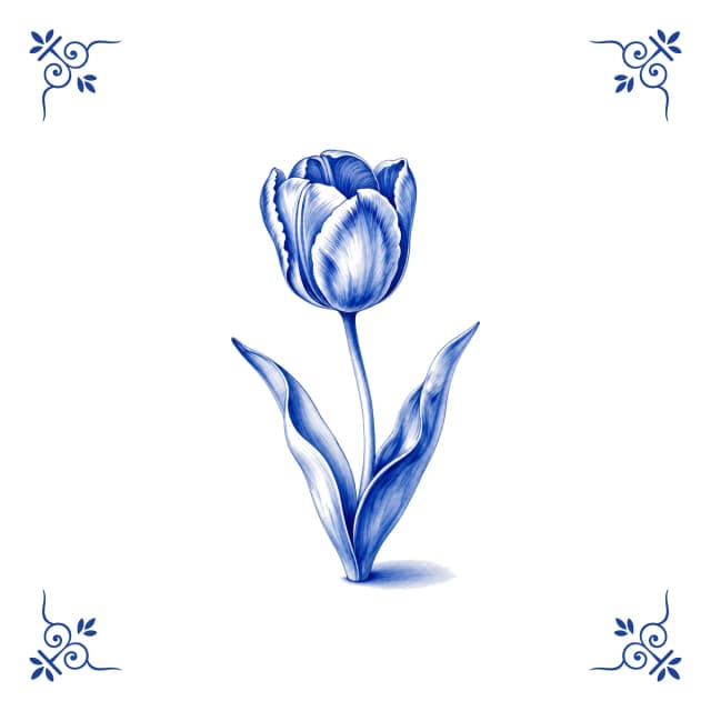 Tulp, Delfts blauw tegeltje